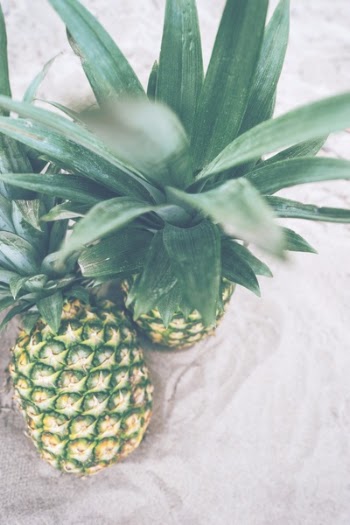 Free Photo of pineapple, dessert, appetizer