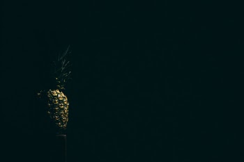 Free Photo of pineapple, dessert, appetizer