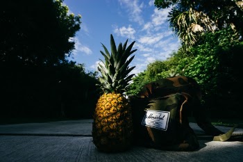 Free Photo of pineapple, dessert, appetizer