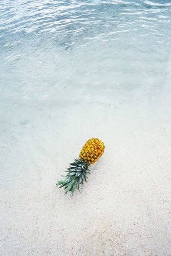 Free Photo of pineapple, dessert, food