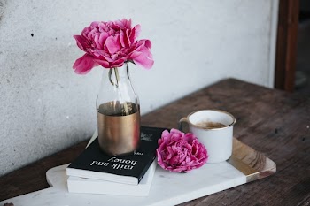 Free Photo of pink, flower, vase