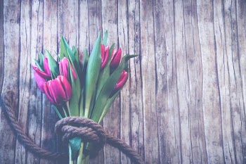 Free Photo of pink, flowers, wrapped
