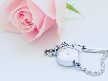 Free Photo of pink rose, silver, watch