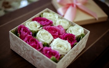 Free Photo of pink, white, roses