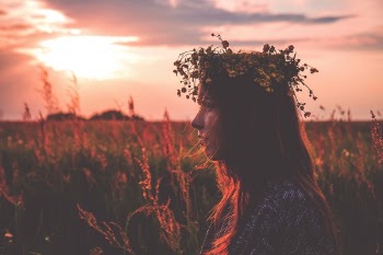 Free Photo of plant, nature, outdoor