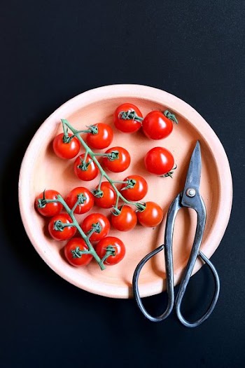 Free Photo of plate, flat lay, tomatoes