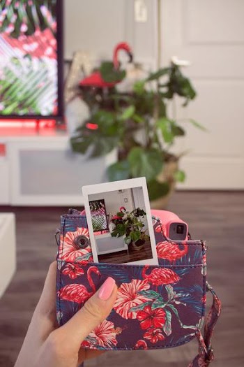 Free Photo of polaroid, photo, interior design