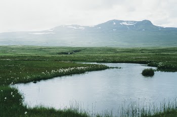 Free Photo of pond, water, fields