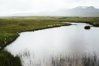 Free Photo of pond, water, nature