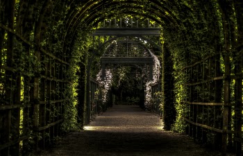 Free Photo of Prinsentuin, vines, garden