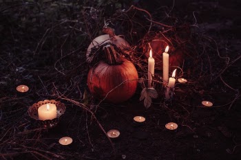 Free Photo of pumpkin, trick or treat, halloween