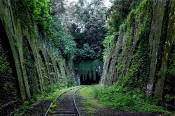 Free Photo of railroad, railway, train tracks