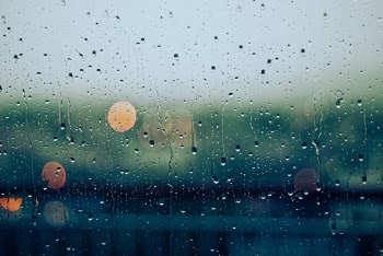 Free Photo of rain, drops, wet