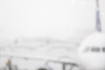 Free Photo of rain drops, wet, rainy