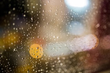 Free Photo of rain, raining, rain drops