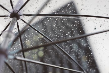 Free Photo of rain, umbrella, plastic