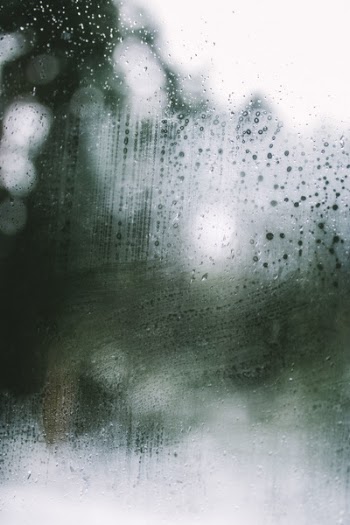 Free Photo of rain, wet, water