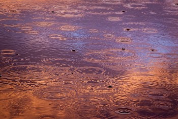 Free Photo of raining, rain drops, water