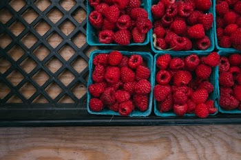 Free Photo of raspberries, berries, fruits