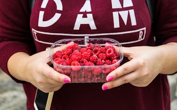 Free Photo of raspberries, fruits, container