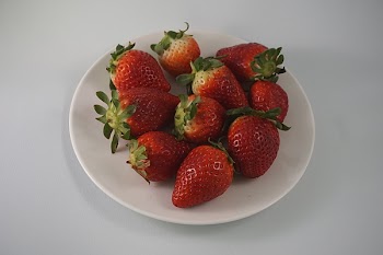 Free Photo of red, plant, seeds