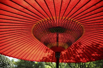 Free Photo of red, umbrella, trees