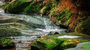 Free Photo of river, stream, rocks