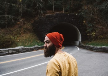 Free Photo of road, path, green