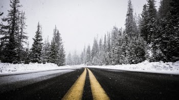 Free Photo of road, path, trees
