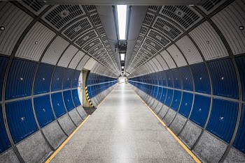 Free Photo of road, path, tunnel