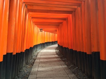 Free Photo of road, path, tunnel