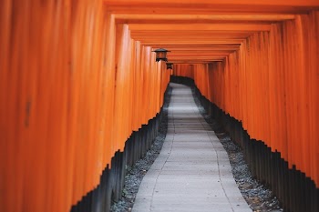 Free Photo of road, path, tunnel