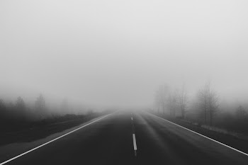 Free Photo of road, rural, fog
