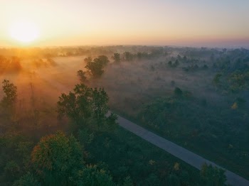 Free Photo of road, street, trees