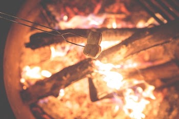 Free Photo of roasting, marshmallows, bonfire