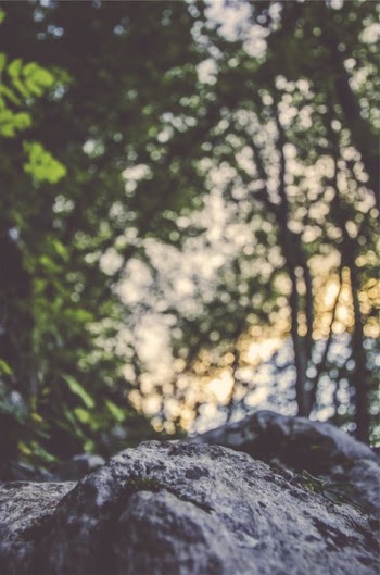 Free Photo of rocks, boulders, forest