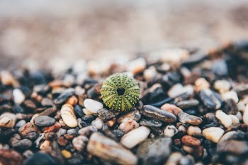 Free Photo of rocks, pebbles, beach