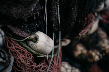 Free Photo of rope, net, tissue roll