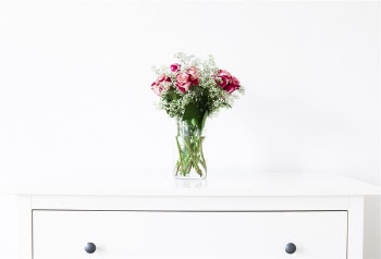 Free Photo of roses, flowers, bouquet
