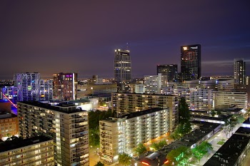 Free Photo of Rotterdam, cityscape, night