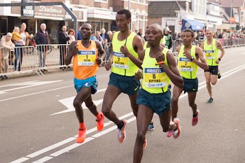 Free Photo of running, sprint, marathon