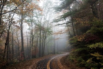 Free Photo of rural, road, countryside