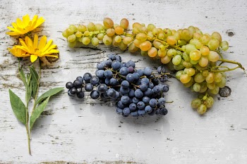 Free Photo of rustic, table, flowers