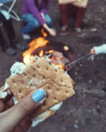 Free Photo of s'more, food, snack