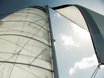 Free Photo of sailboat, sails, sky