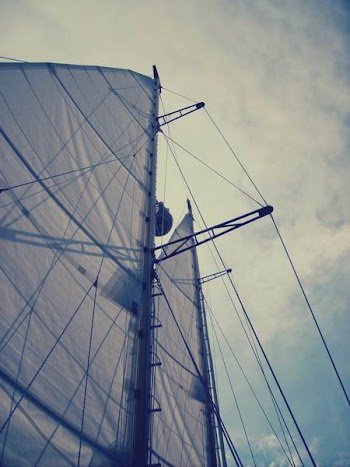 Free Photo of sailboat, sals, mast