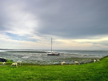 Free Photo of sailboat, water, ocean