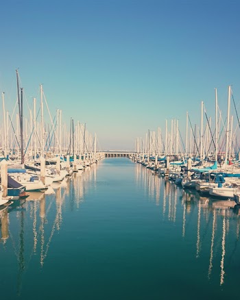 Free Photo of sailboats, boating, marina