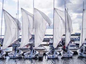 Free Photo of sailboats, boating, marina