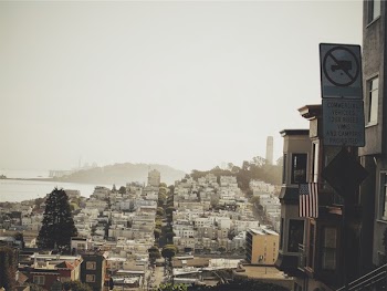 Free Photo of San Francisco, houses, city